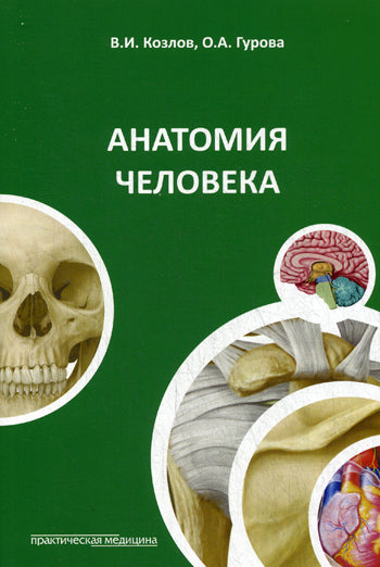 Анатомия человека: Учебное пособие. 3-е изд., доп. и перераб. Козлов В.И.,Гурова О.А.