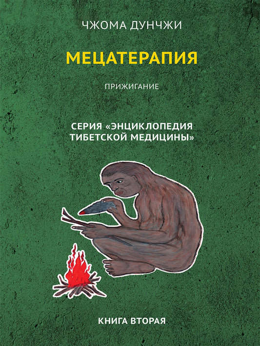 Мецатерапия. Прижигание. Книга 2