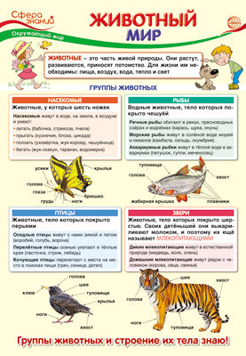 ПО-13407 Plaque A3. Окружающий мир в начальной школе. Животный мир