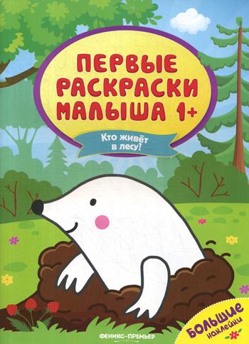 Qu'est-ce qu'il y a dans la vie?: книжка с наклейками