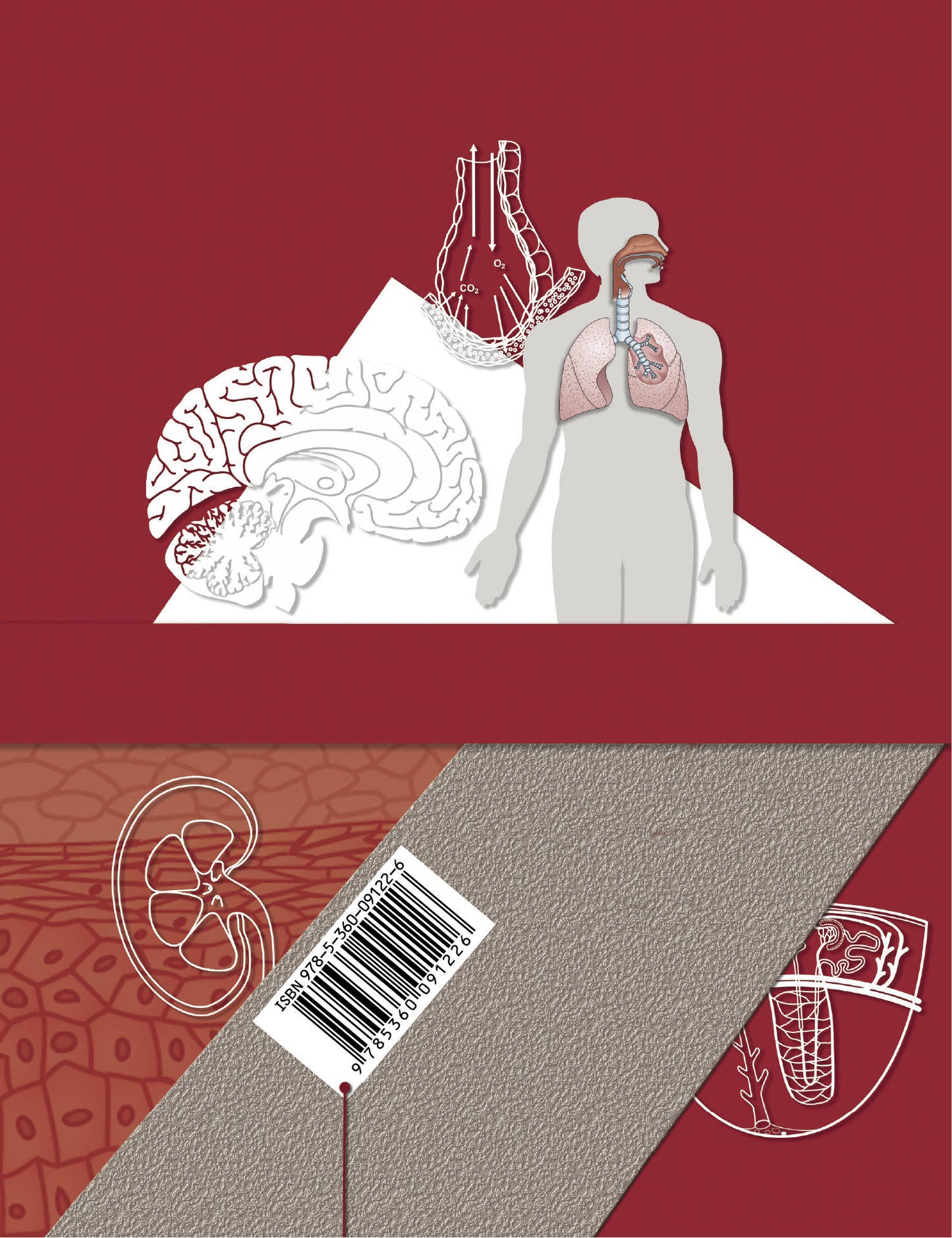 Biologie. 9ème classe. Учебник.