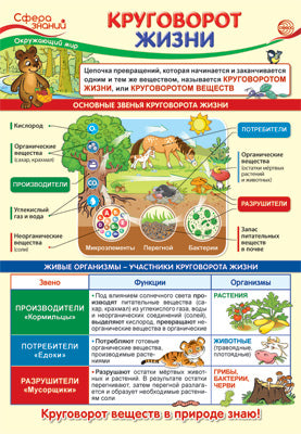 ПО-13973 Plaque A3. Окружающий мир в начальной школе. Круговорот жизни