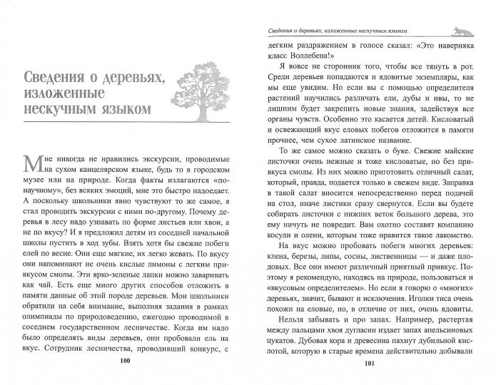 О чем шумит лес? (интегр.)