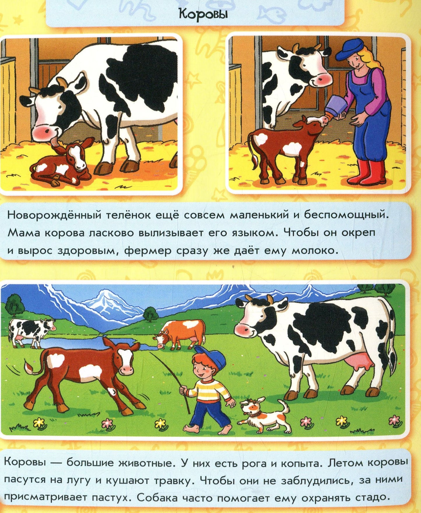 Encyclopédie des cartes : Vie à la ferme (р)