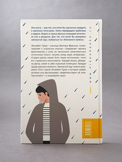 Источники осознанной жизни. Преврати проблемы в ресурсы. 2-е изд