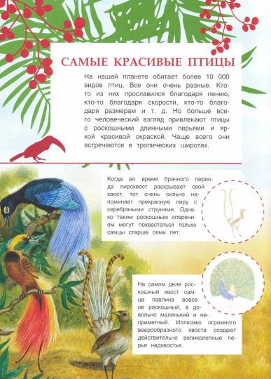 Познавательные наклейки. Животные жарких стран