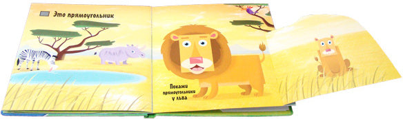 Кто бывает круглым?