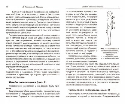 Костоправ. Исцеляющие практики волхвов. 7-е изд.