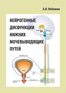 Нейрогенные дисфункции нижних мочевыводящих путей