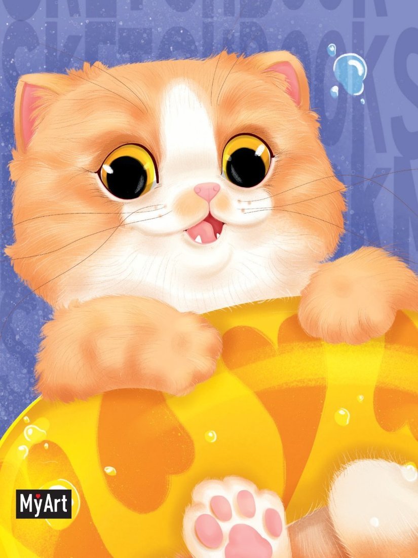 Mon Art. MeowBook СКЕТЧБУК. Рыжий котик