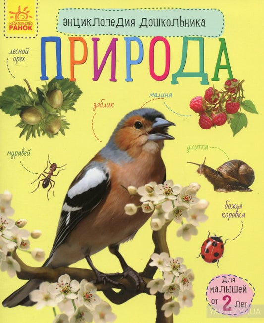 Енциклопедія дошкільника (нова): Природа (р)