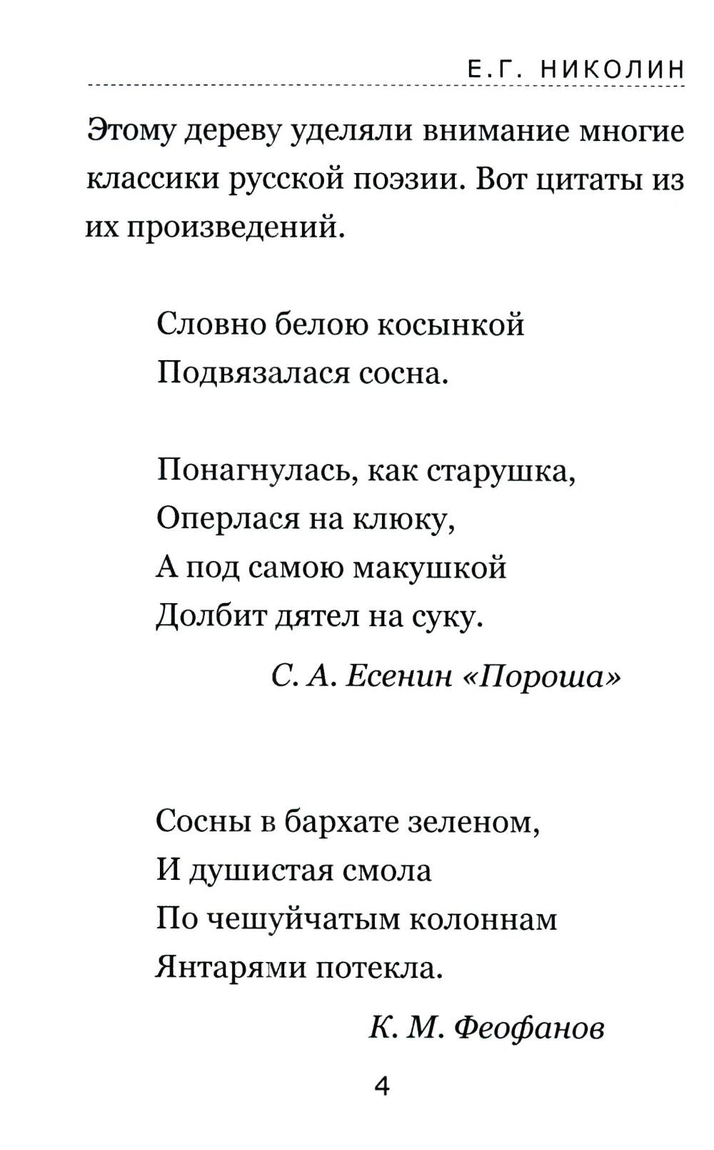Тайны соснового леса