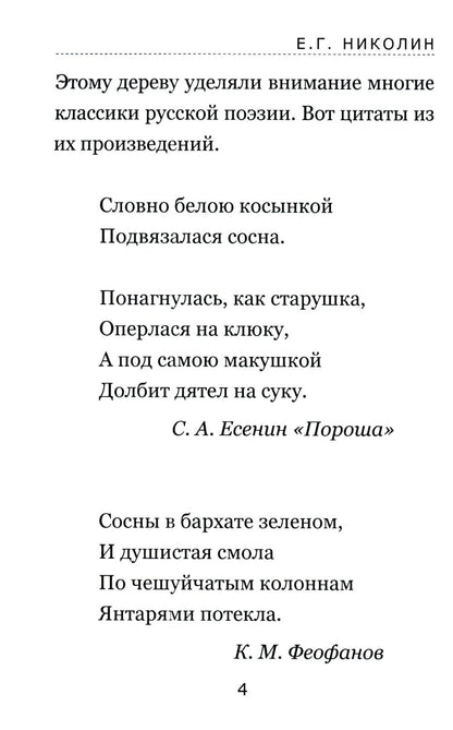 Тайны соснового леса