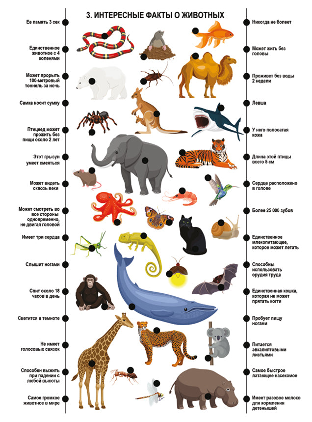 Игра настольная. Электровикторина "Размышляй-ка"
