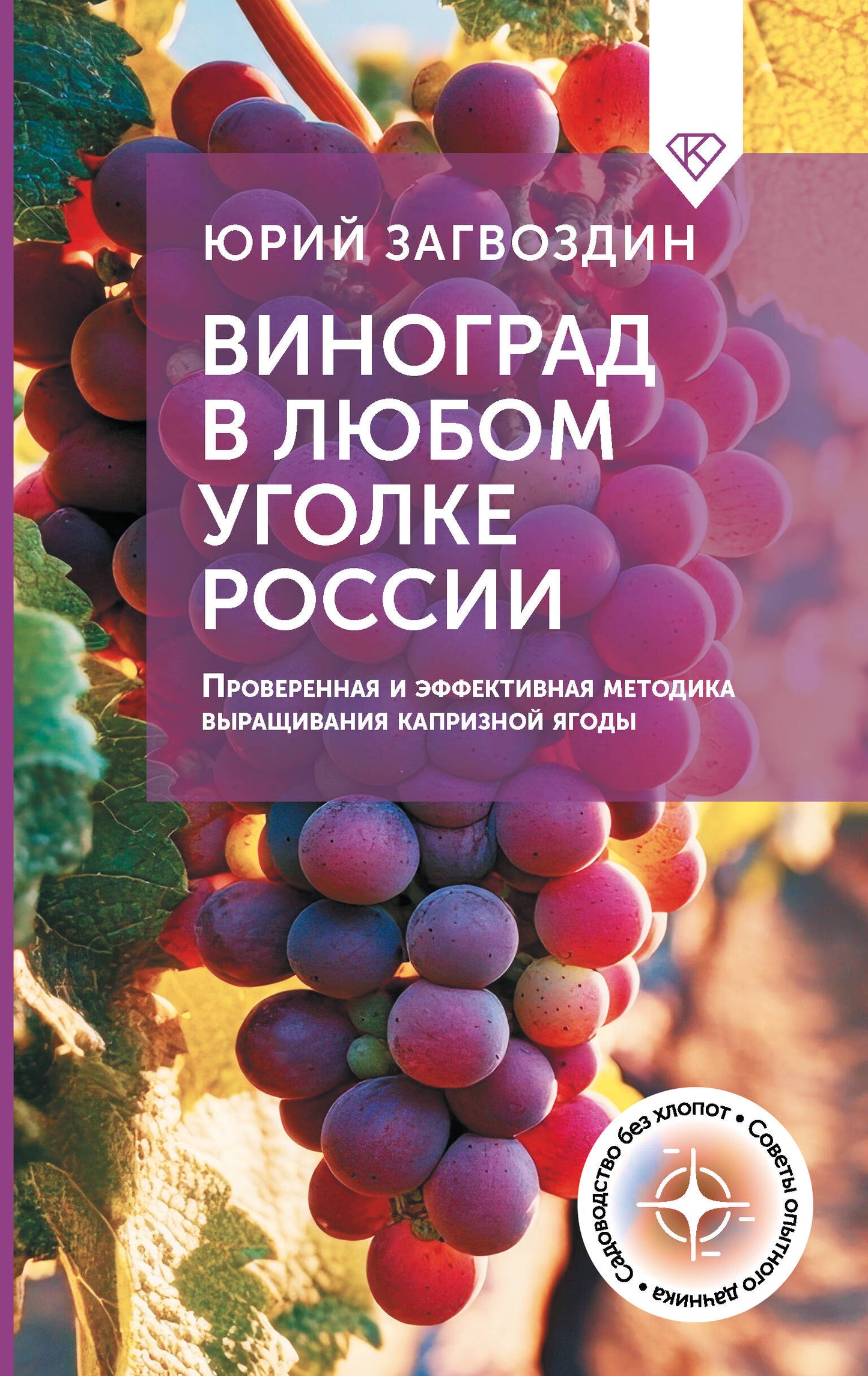 Vinograd dans le club de Russie. Méthode éprouvée et efficace pour les jours capricieux