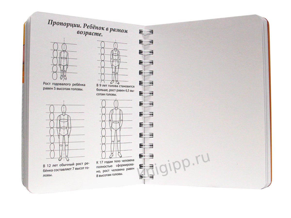 СКЕТЧБУК А5 УРОКИ РИСОВАНИЯ ПО ШАГАМ. АНАТОМИЯ ЧЕЛОВЕКА