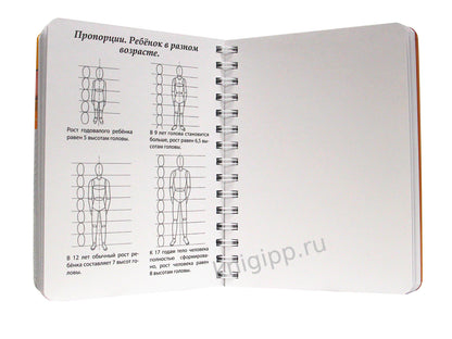 СКЕТЧБУК А5 УРОКИ РИСОВАНИЯ ПО ШАГАМ. АНАТОМИЯ ЧЕЛОВЕКА