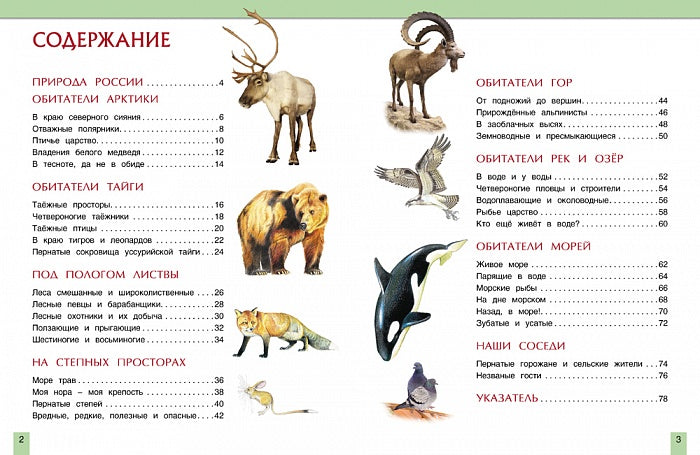 Животные России (Моя Россия)