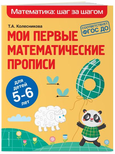 Mes premières propositions mathématiques : pour les enfants de 5 à 6 lettres
