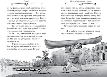 Агата Мистери. Кн.28. Загадка ледяного викинга