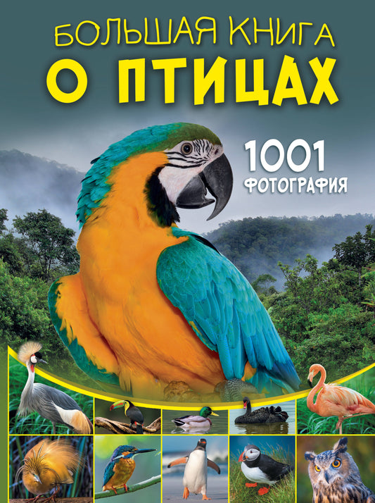 Большая книга о птицах. 1001 photographie