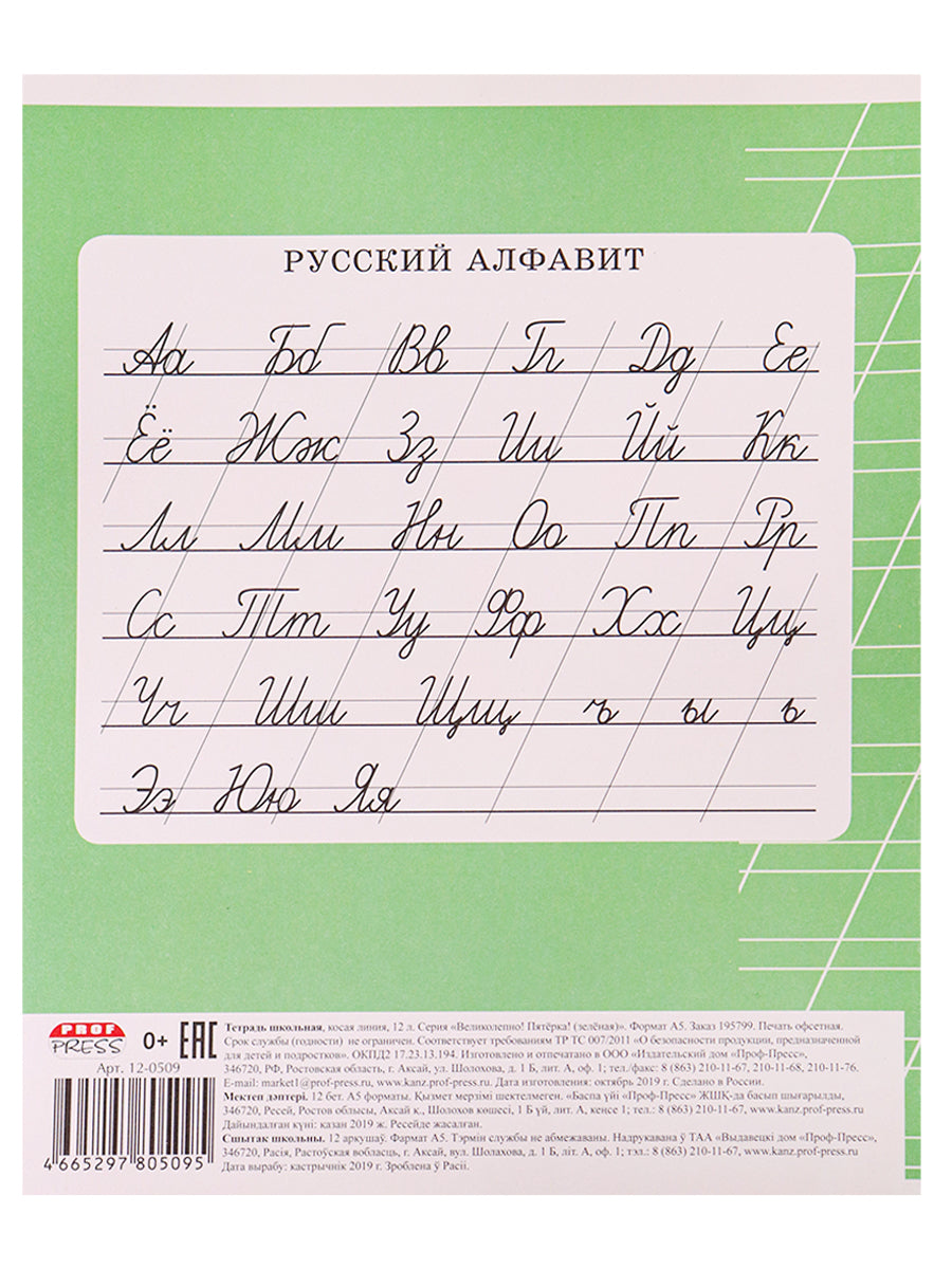 Тетрадь 12л. косая линия ВЕЛИКОЛЕПНО! ПЯТЕРКА!