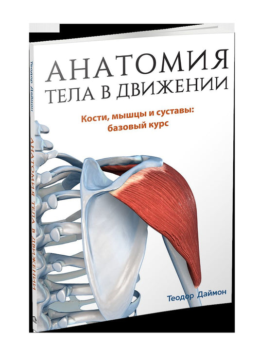 Анатомия тела в движении