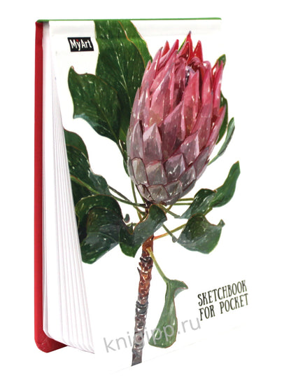 Mon Art. Carnet de croquis pour poche. Prothéa