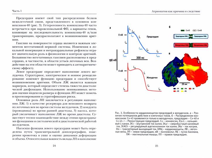 Сергей Яшин «Можно ли вылечить фибрилляцию предсердий? ». СПб : Лимбус Пресс, ООО «Издательство К.Тублина», 2022. – 224 с., цв. ил.