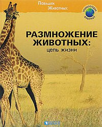Размножение животных: цепь жизни