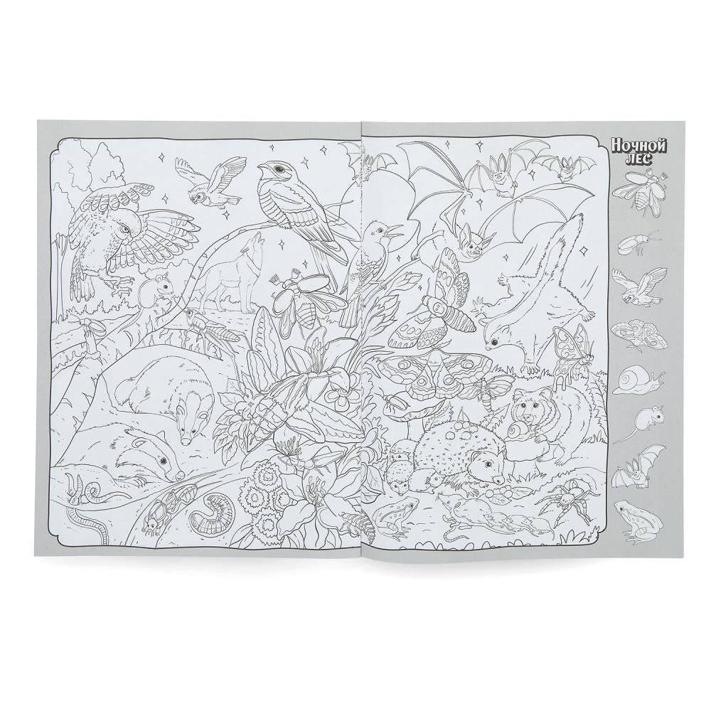 Животные. Раскраска Виммельбух. 214х290 mm. Скрепка. 16 pièces. Ouais. en cor.50шт