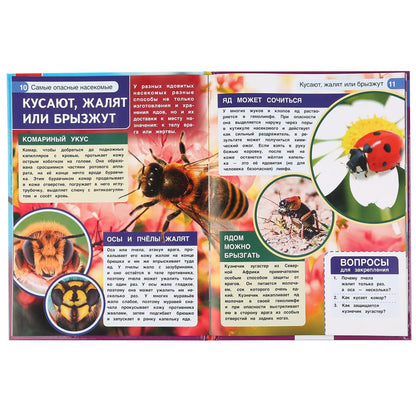 "УМКА". САМЫЕ ОПАСНЫЕ НАСЕКОМЫЕ. ЭНЦИКЛОПЕДИЯ А4 С РАЗВИВАЮЩИМИ ЗАДАНИЯМИ. 197Х255ММ 48СТР в кор15шт