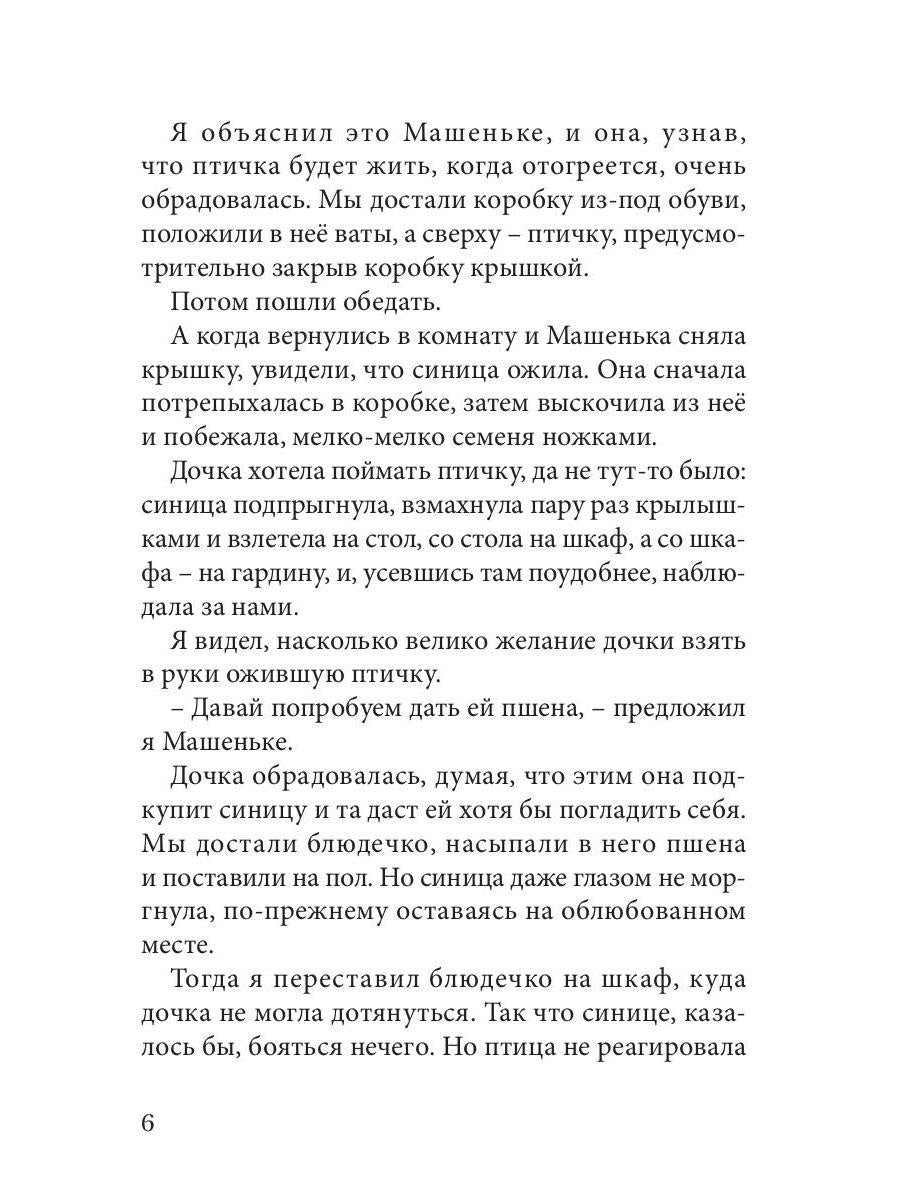 Огненные чайки: скази и истории о птицах