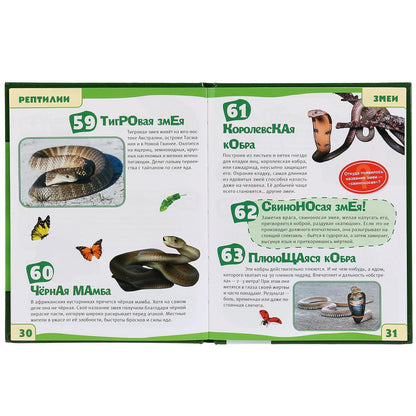 "УМКА". РЕПТИЛИИ. 100 ФАКТОВ (ЭНЦИКЛОПЕДИЯ С РАЗВИВАЮЩИМИ ЗАДАНИЯМИ А5). ТВЕРДЫЙ ПЕРЕПЛЕТ в кор.22шт