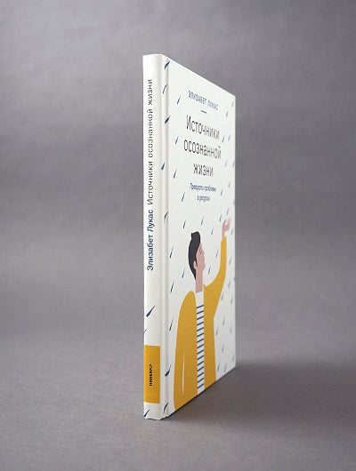 Источники осознанной жизни. Преврати проблемы в ресурсы. 2-е изд