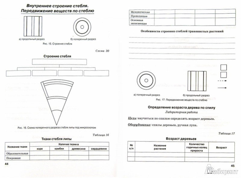 Biologie 5cl Растения (Рабочая тетрадь)