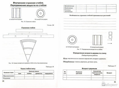Biologie 5cl Растения (Рабочая тетрадь)