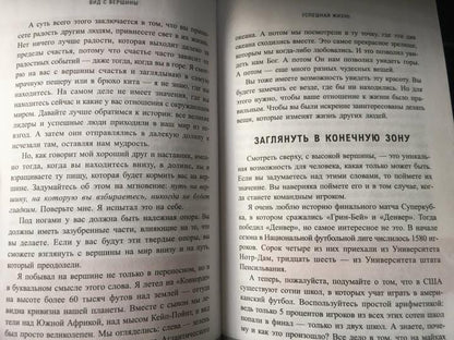 Вид с вершины: от успеха к собственной значимости. (обл.)