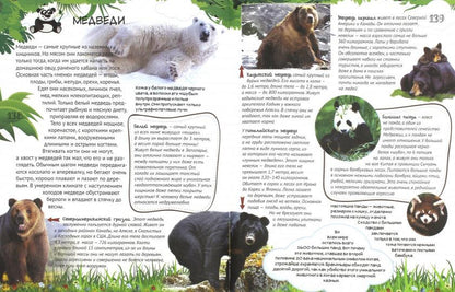 Grande école d'enseignement supérieur - ХОЧУ ВСЕ ЗНАТЬ! Энциклопедия младшего школьника