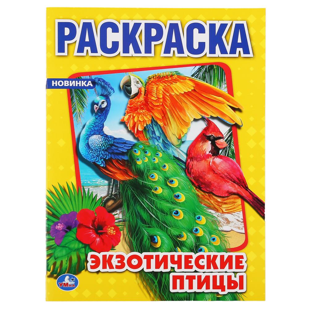 "УМКА". ЭКЗОТИЧЕСКИЕ ПТИЦЫ. (ПЕРВАЯ РАСКРАСКА А4) ФОРМАТ : 214Х290 ММ. ОБЪЕМ: 16 СТР. en cor.50шт