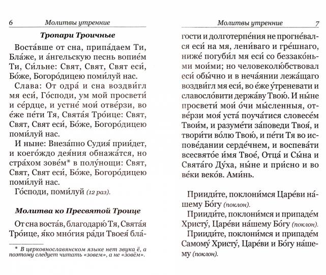 Молитвослов с правилом ко Святому Причащению. Пасхальный канон. Крупным шрифтом