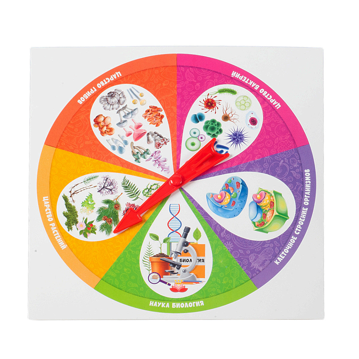 Игра настольная Викторина "Биология"