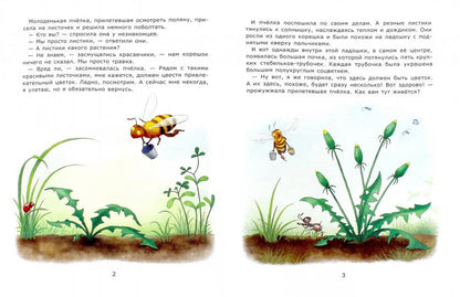 Познавательные сказки: Солнечные цветы