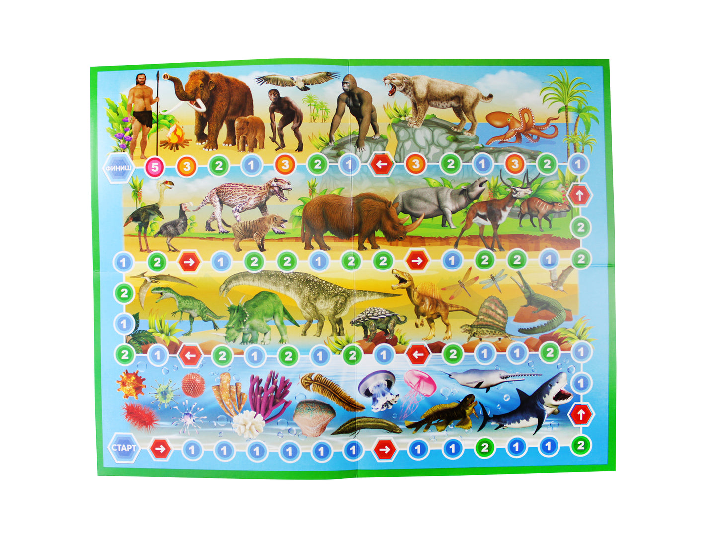 ДК.Игра настольная "Викторина Биология" арт.02831 /7