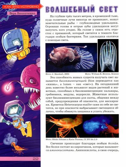 Квантик. Альманах для любознательных. Выпуск 18.