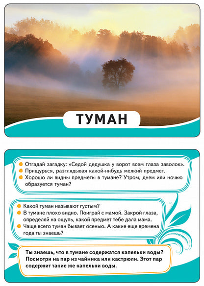 Мир вокруг (Разв.карточки 0+)