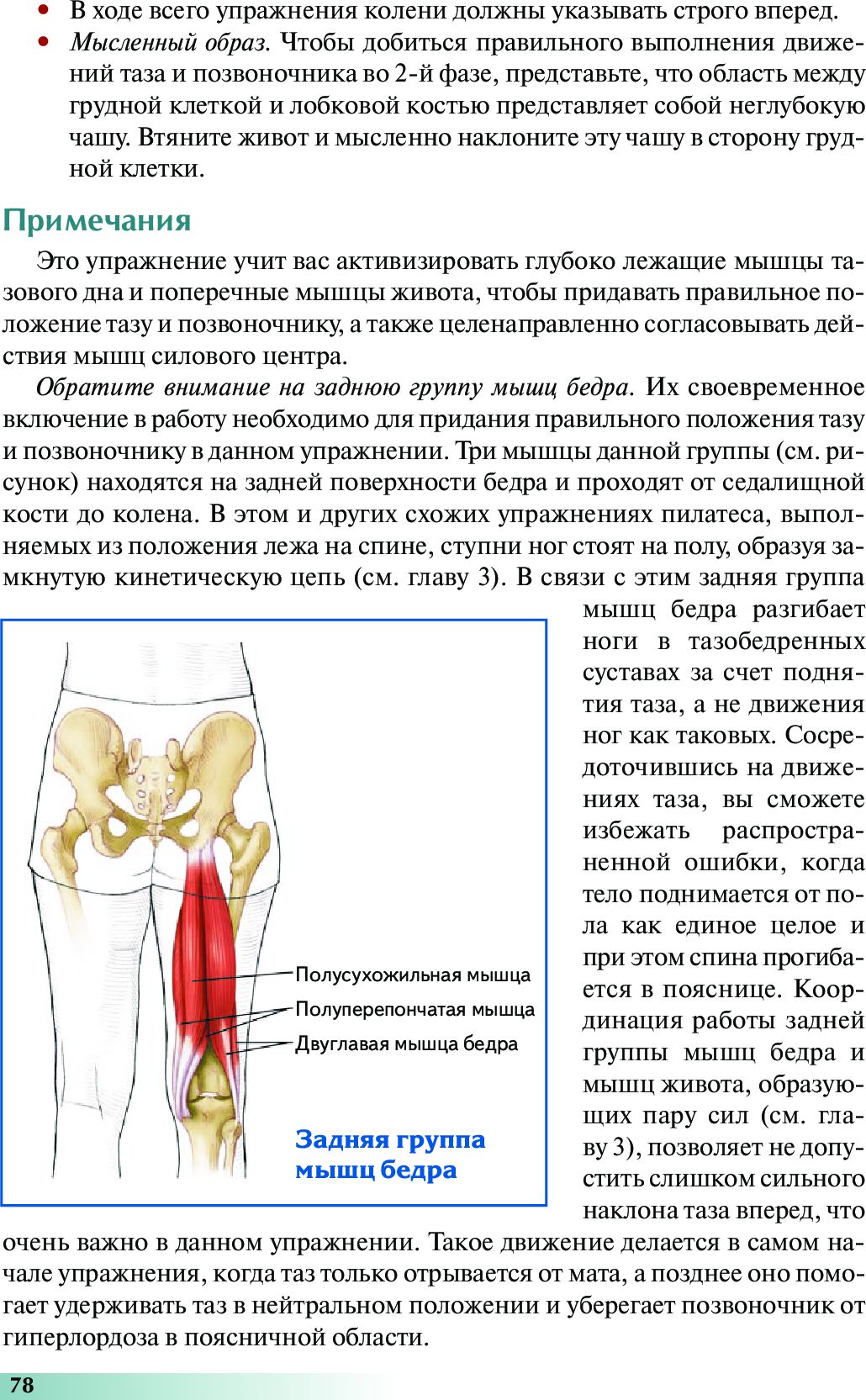 Анатомия пилатеса