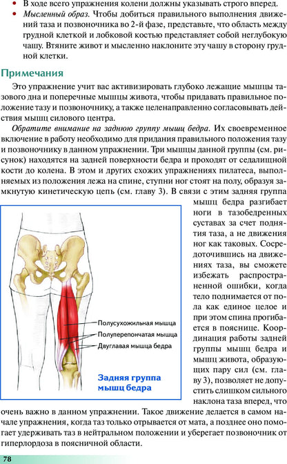 Анатомия пилатеса