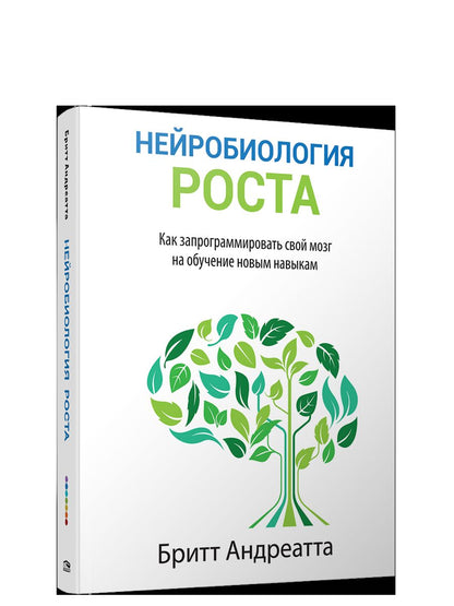 Нейробиология роста: как запрограммировать свой мозг на обучение новым навыкам
