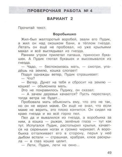 ВПР 2 класс Подготовка к Всероссийской проверочной работе по литературному чтению. 2 класс/ Мишакина (Бином)